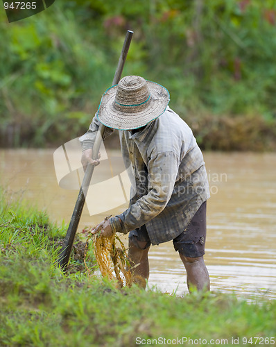 Image of asian farmer preparing the ground for the growth of rice