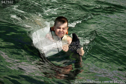 Image of Boy swimming with dolphin closeup