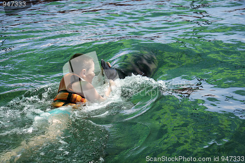 Image of Boy swimming with dolphin rear view