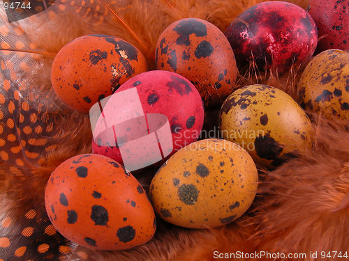 Image of colorful quail eggs