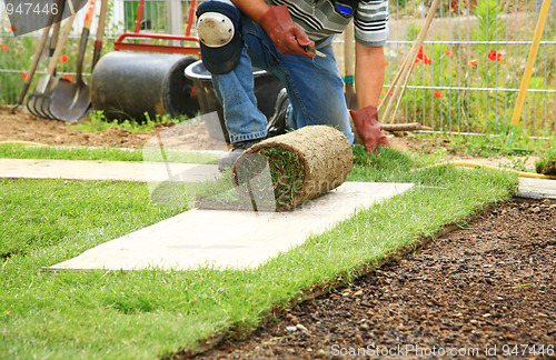 Image of Laying sod for new lawn