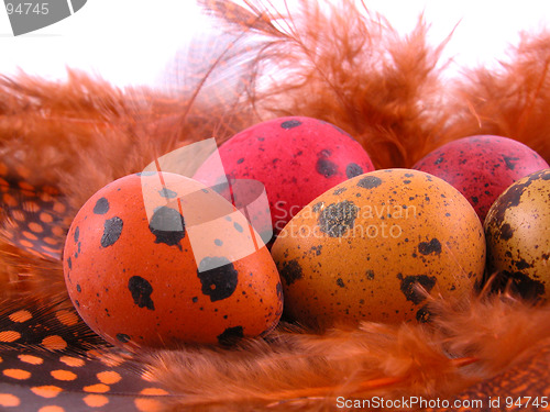 Image of colorful quail eggs