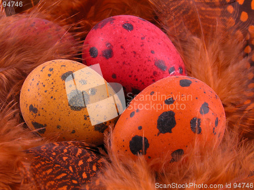 Image of colorful quail eggs