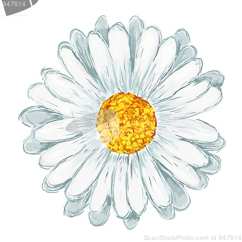 Image of daisy