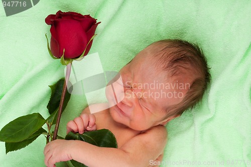Image of Screaming newborn with rose