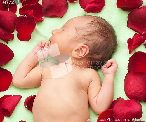 Image of newborn tenderness