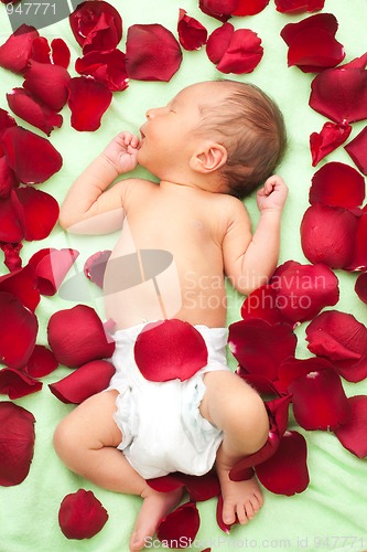 Image of baby laying in flower petals