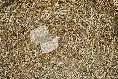 Image of Hay background