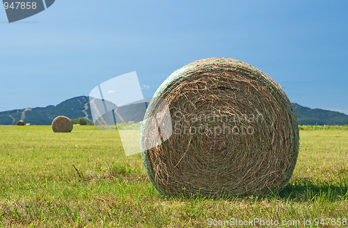 Image of Bales of hay in the green field