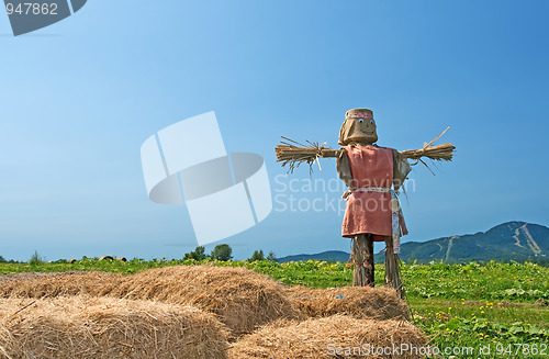 Image of Scarecrow on the farmland