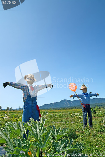 Image of Scarecrows in the field