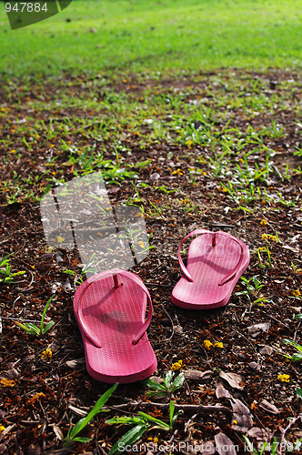 Image of slippers on grass field