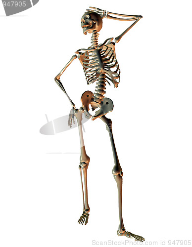 Image of Skeleton in Model pose