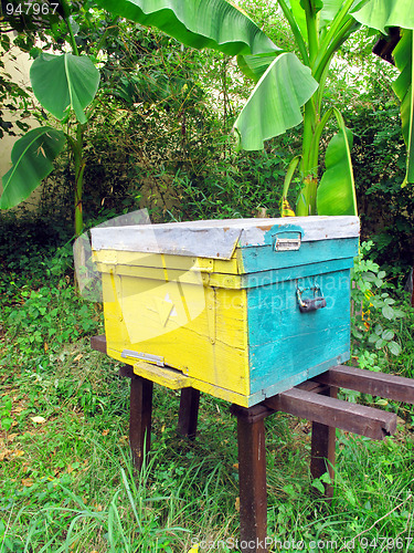 Image of Beehive