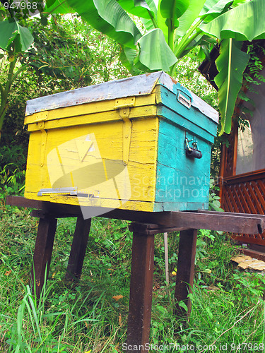 Image of Beehive