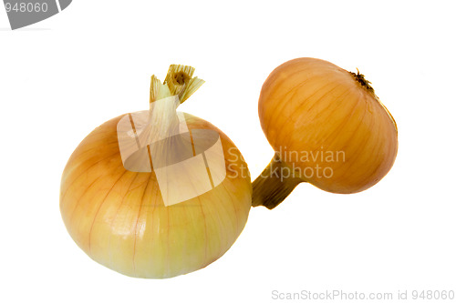 Image of Onions