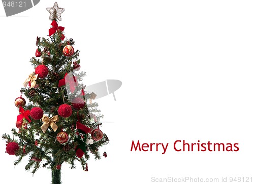 Image of Christmas tree