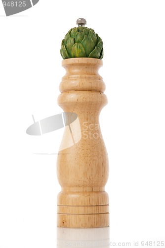 Image of Stylish pepper condiment dispenser