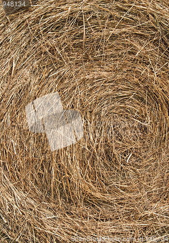 Image of Golden hay background