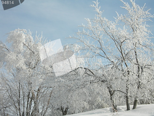 Image of Rime