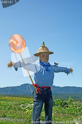 Image of Scarecrow with butterfly net
