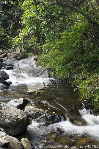 Image of green forest and river 