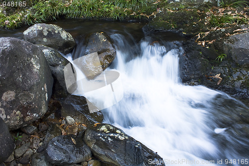 Image of Cascade falls over mossy rocks