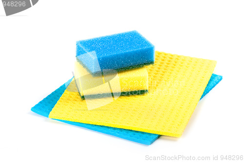 Image of blue and yellow sponges