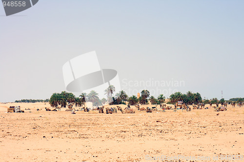 Image of desert