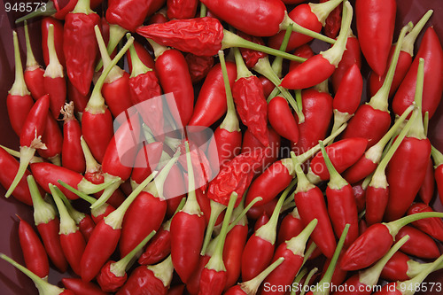 Image of chili background