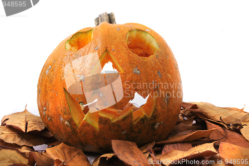 Image of halloween pumpkin 