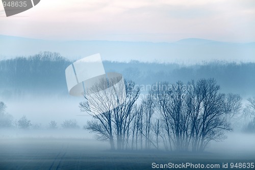 Image of Fog