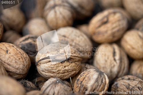 Image of Walnuts