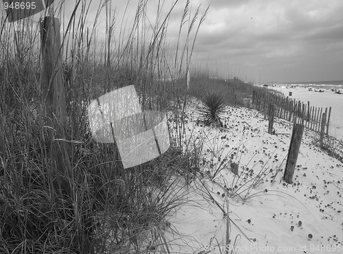 Image of Dunes