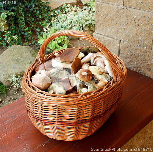 Image of Mushrooms in basket