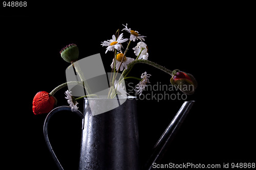 Image of Still Life