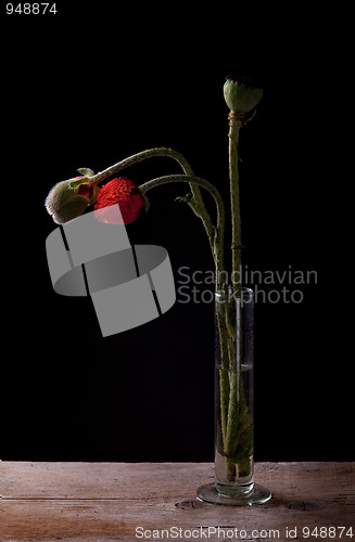 Image of Poppies in Vase