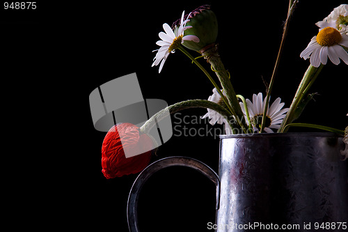 Image of Still Life