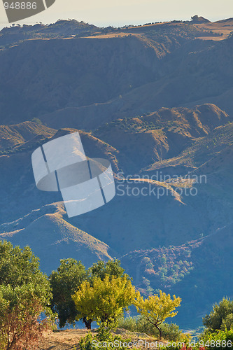 Image of Arid olive hills