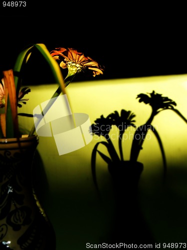 Image of Flower in vase & Shadow on wall