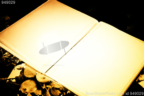 Image of Photo Album with copy space