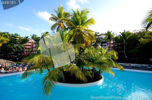 Image of Swimming pool