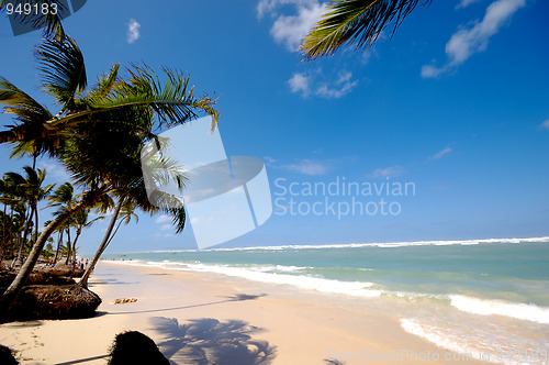 Image of Exotic caribbean beach