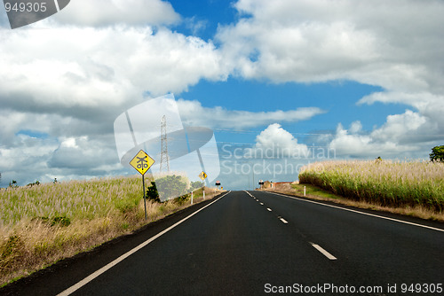 Image of Road Signs in Queensland