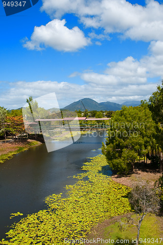 Image of Rain Forest on the road to Kuranda