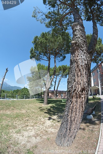 Image of Park in Barga, Italy
