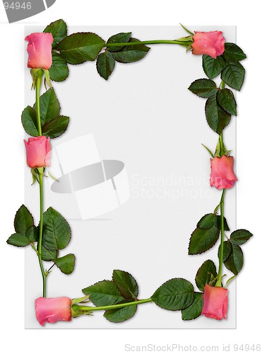 Image of Rose frame 1