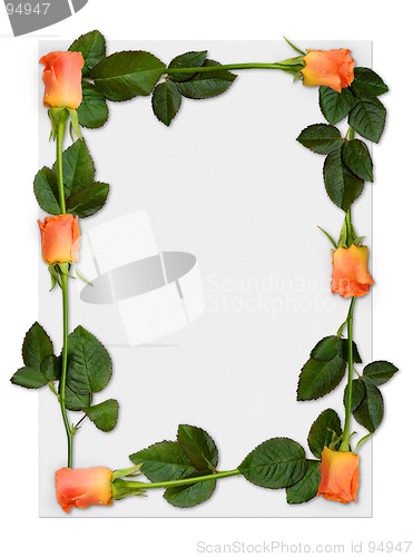 Image of Rose frame 2