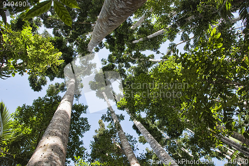 Image of Paronella Park, Queensland