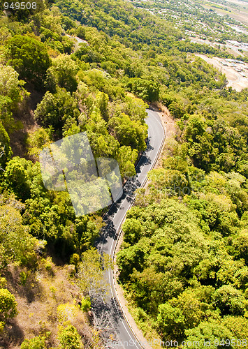 Image of Rain Forest on the road to Kuranda